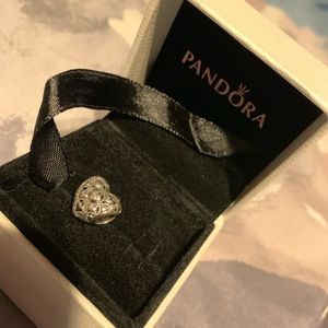 New pandora charm
